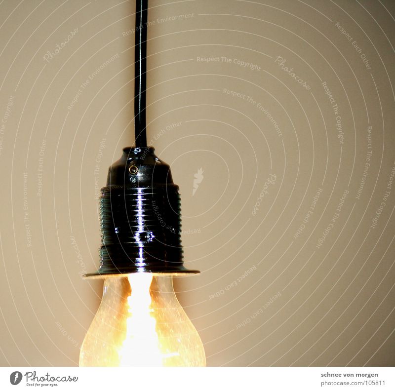 lichtung Licht Lampe hell weiß dunkel Glühbirne Elektrizität Wand Wohnung Haushalt schwarz Winter Herbst Stromrechnung teuer Draht Schalter Elektrisches Gerät