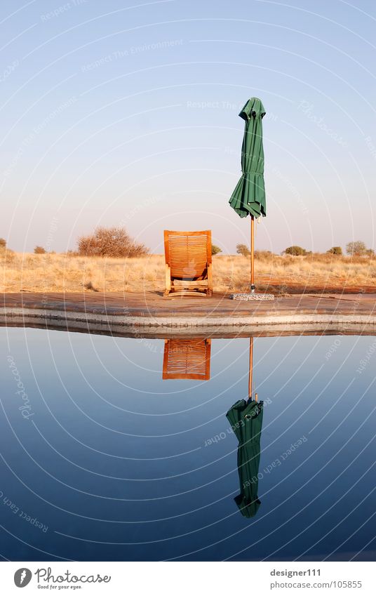 Namibischer Spiegel Afrika Erholung Unendlichkeit Liege Liegestuhl Morgen Denken Namibia Schwimmbad ruhig Sonnenschirm Reflexion & Spiegelung träumen Wasser