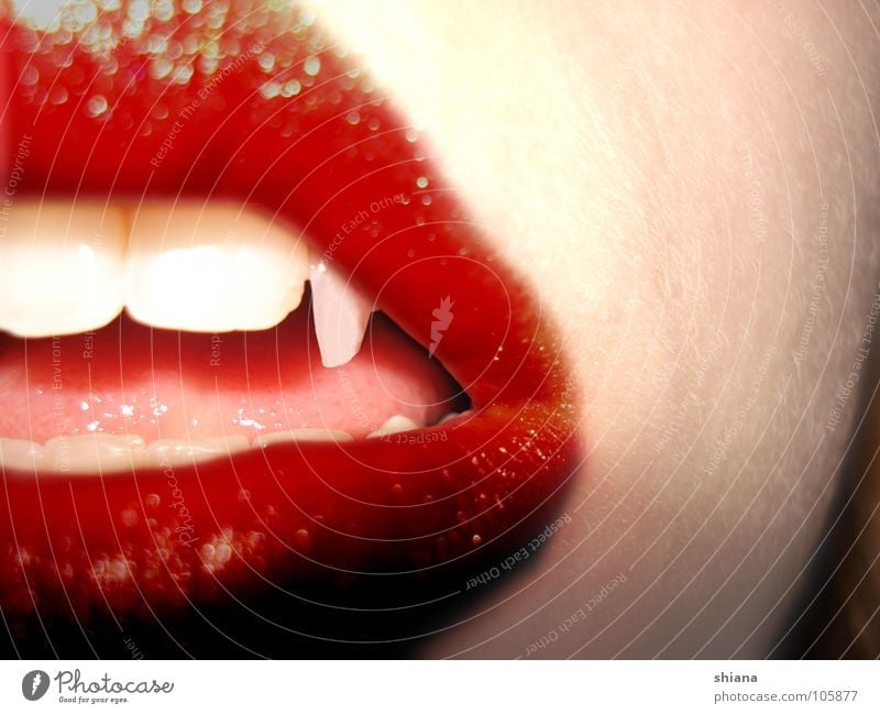Vampire Lippen rot weiß gefährlich verführerisch Frau Rote Lippen weiße Haut Zunge spitze Zähne Spitze Blut Mund Roter Mund Drakula