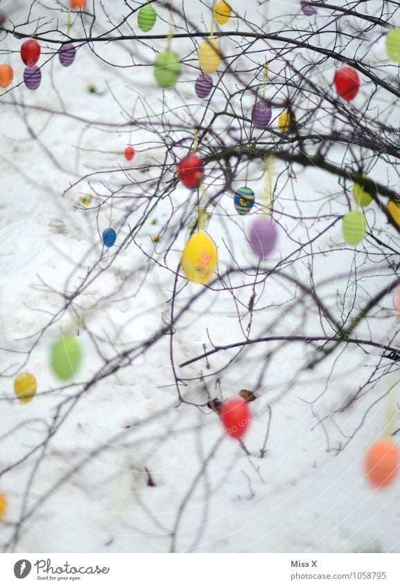 Viele Eier Dekoration & Verzierung Ostern Himmel Frühling Baum hängen mehrfarbig Osterei Sträucher Ast Zweig Zweige u. Äste Farbfoto Muster Menschenleer