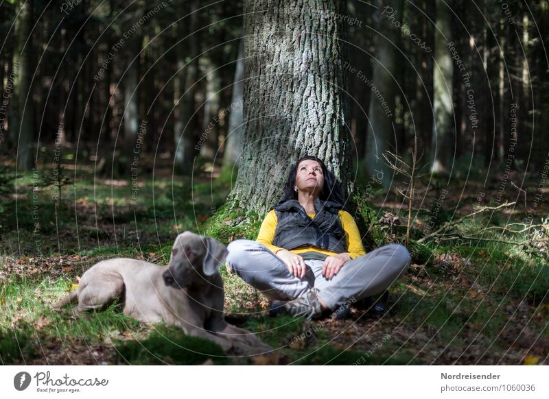 Junge Frau mit einem Weimaraner Jaghund schaut verträumt nach oben in die Baumwipfel Lifestyle harmonisch Sinnesorgane Erholung ruhig Meditation wandern Mensch