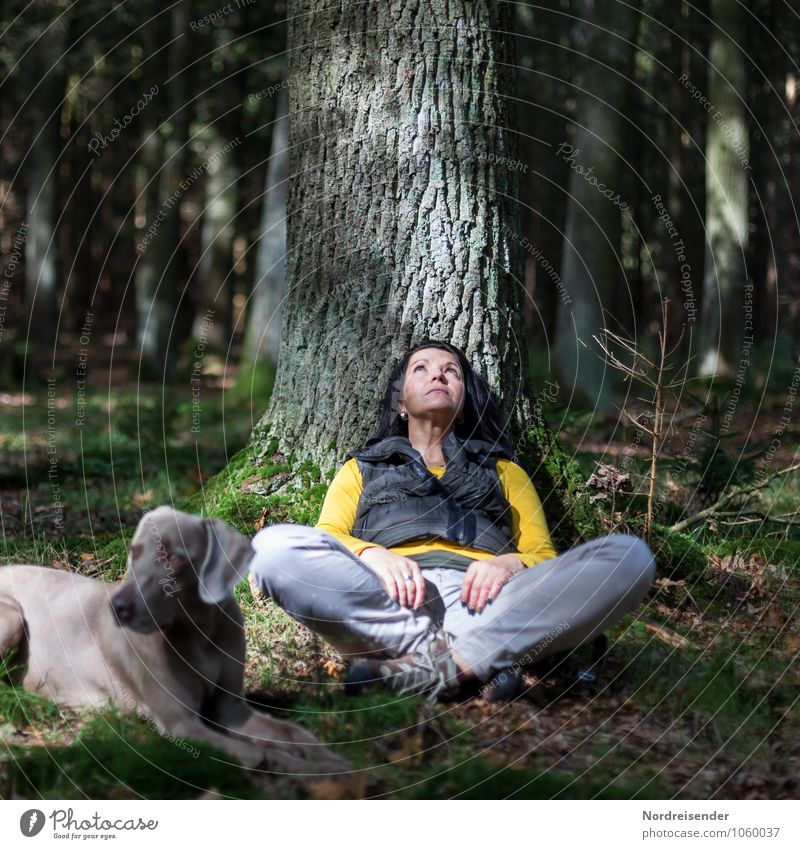 Schaltbubu | Den Tag verträumen II harmonisch Meditation wandern Mensch feminin Frau Erwachsene Natur Landschaft Baum Wald Tier Hund beobachten Erholung
