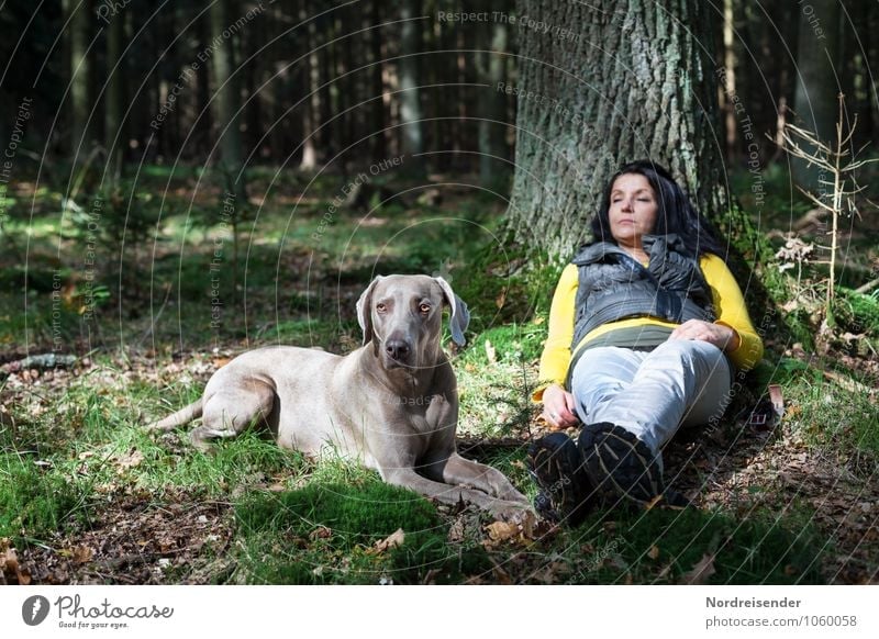 Aufpassen harmonisch Wohlgefühl Zufriedenheit Sinnesorgane Erholung ruhig Ausflug wandern Mensch feminin Frau Erwachsene Leben Baum Wald Tier Hund schlafen