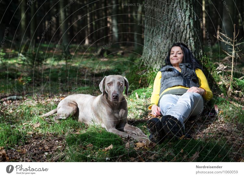 Junge Frau mit einem Weimaraner Jagdhund chillt im Wald Wellness harmonisch Wohlgefühl Zufriedenheit Sinnesorgane Erholung ruhig wandern Mensch feminin