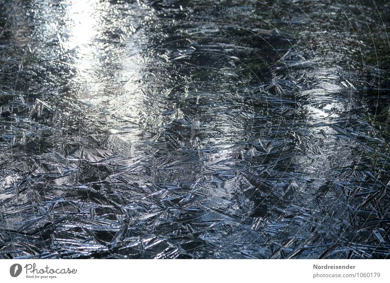 Strukturen Winter Eis Frost Teich See Wasser bizarr einzigartig Klima Natur Netzwerk Eiskristall Kristallstrukturen Hintergrundbild Strukturen & Formen