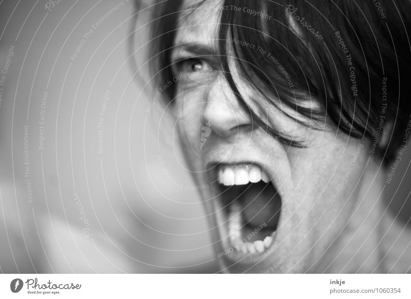 Portrait mit der gewissen Schärfe. Lifestyle Frau Erwachsene Leben Gesicht Mund Zähne 1 Mensch 30-45 Jahre schreien Konflikt & Streit Aggression bedrohlich nah