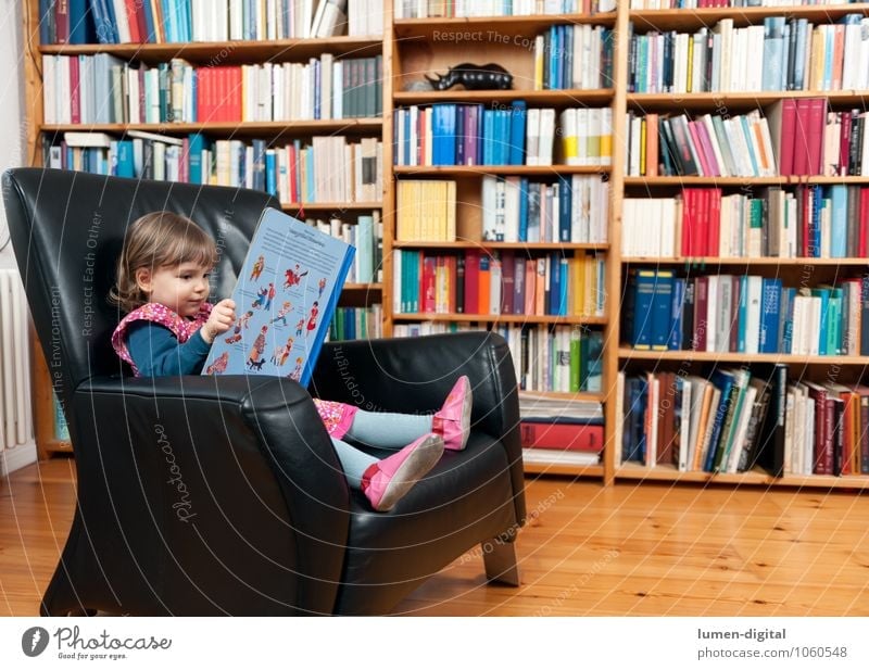 Kleines Mädchen mit Buch lesen Armsessel Bildung Kind Mensch Kleinkind 1 3-8 Jahre Kindheit Printmedien Bibliothek lernen Häusliches Leben Aussehen Bilderbuch