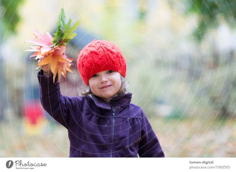 Kind winkt mit Blättern Mädchen Kindheit 1 Mensch 1-3 Jahre Kleinkind Herbst Blatt Mütze lachen Freundlichkeit Fröhlichkeit Gruß Herbstlaub winken Farbfoto