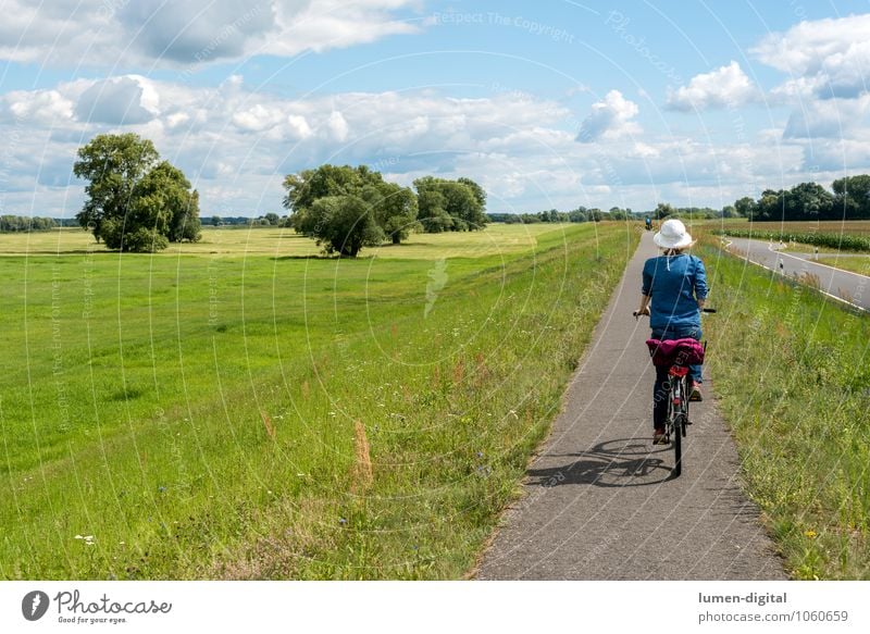 Radfahrerin auf einem Deich Freizeit & Hobby Ferien & Urlaub & Reisen Tourismus Ausflug Fahrradtour Sommer Sport Fahrradfahren Frau Erwachsene Natur Flussufer