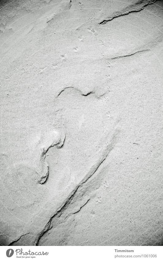 Sandspiel. Umwelt Natur Urelemente Sommer Düne Dänemark Fährte ästhetisch einfach natürlich grau schwarz Gefühle Linie Schatten Schwarzweißfoto Sandverwehung