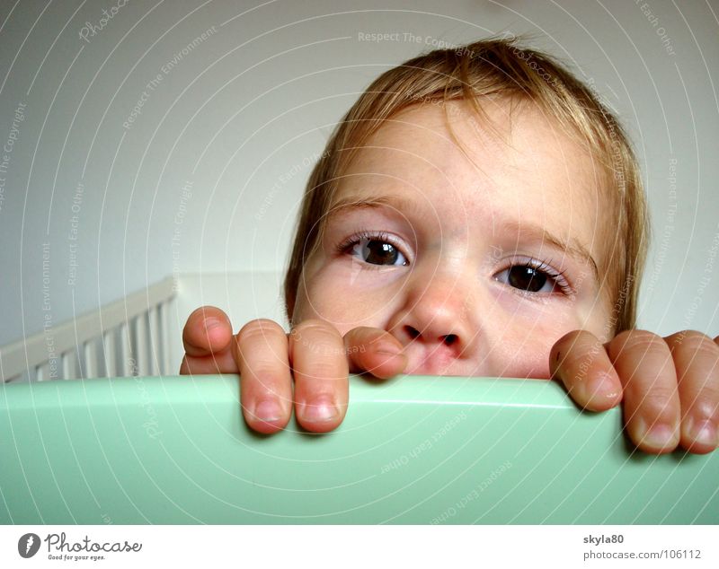 Dreikäsehoch Kind Kleinkind Mädchen Hand Kinderbett Neugier Lebensfreude Gesicht Haare & Frisuren Freude festhalten verstecken Kinderaugen Finger