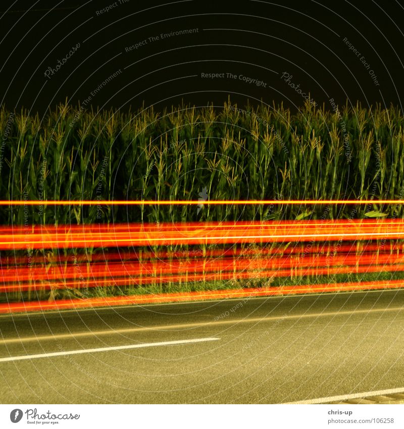 Rote Streifen Langzeitbelichtung rot grün Nacht dunkel Maisfeld Asphalt Licht Belichtung Landstraße Autofahren Unschärfe Verkehr Lichtstreifen Lichtspiel