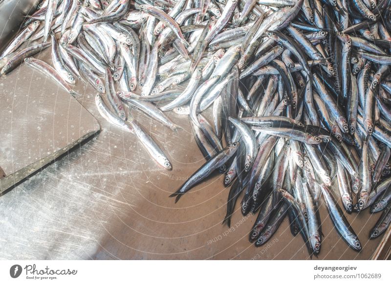 Fische auf dem Eis auf dem Markt. Fleisch Meeresfrüchte kaufen Industrie Tier verkaufen frisch lecker Lebensmittel gefroren Gesundheit Fischen roh kalt Lager