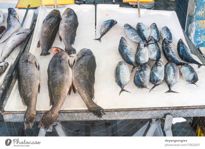 Fische auf dem Eis auf dem Markt. Meeresfrüchte kaufen Industrie Tier verkaufen frisch lecker gefroren roh Lager Sale Lachs Protein Diät ungekocht Farbfoto