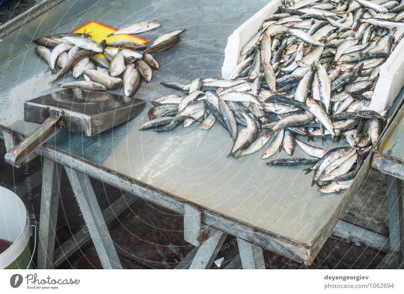 Fische auf dem Eis auf dem Markt. Meeresfrüchte kaufen Industrie Tier verkaufen frisch lecker gefroren roh Lager Sale Lachs Protein Farbfoto Innenaufnahme Essen