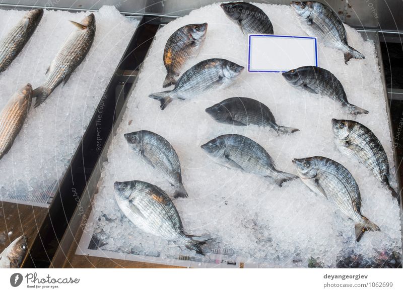 Fisch auf Eis auf dem Markt. Meeresfrüchte kaufen Industrie Tier verkaufen frisch lecker Brasse Lebensmittel gefroren roh Lager Sale Lachs Supermarkt Protein