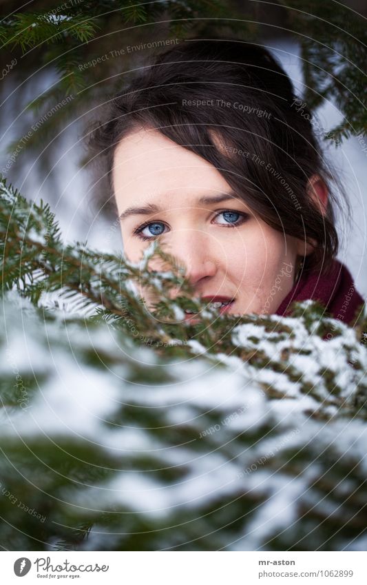 Beobachtet Mensch feminin Junge Frau Jugendliche 1 18-30 Jahre Erwachsene Natur Winter Schnee Baum Tanne Wald beobachten entdecken Blick verblüht bedrohlich