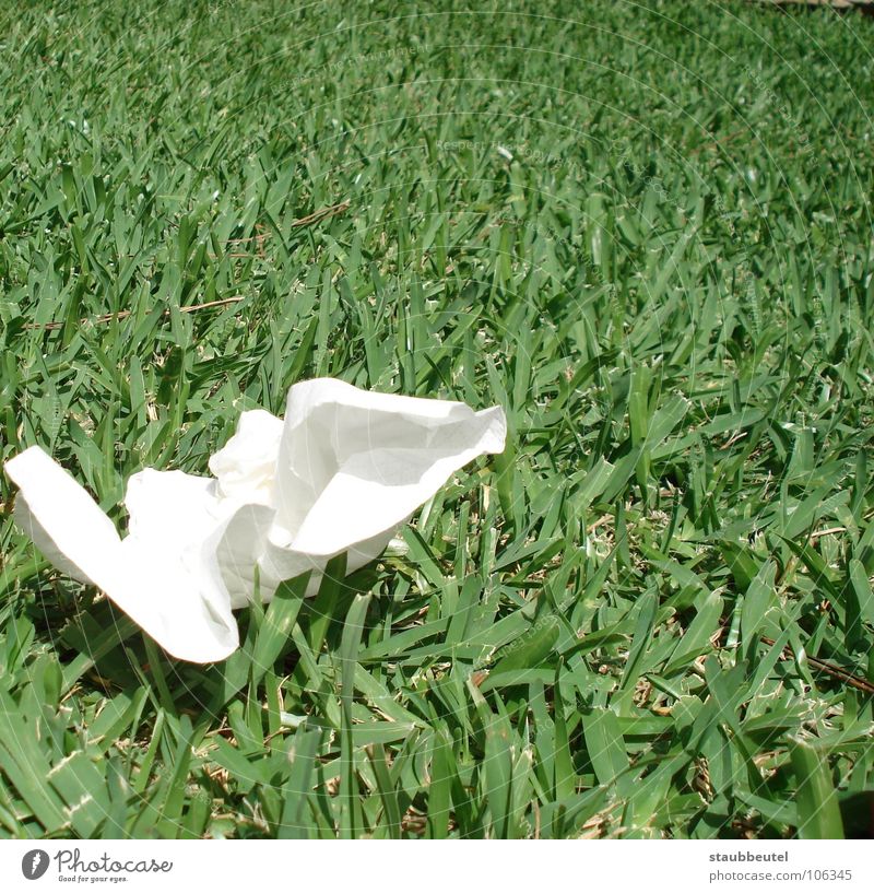 blanco en verde Sommer Spanien grün weiß Taschentuch Wiese Gras Müll rein Sauberkeit Taube Sicherheit Gesundheit Frieden rotznase Tuch dreckig