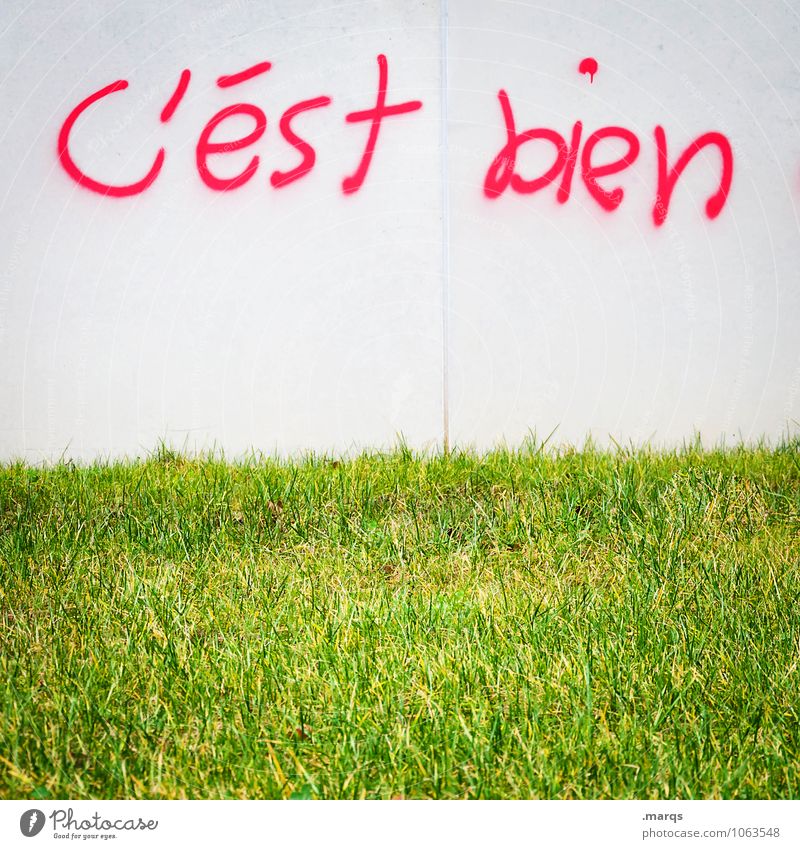 in Ordnung Wiese Mauer Wand Schriftzeichen Graffiti hell grün rot weiß Frühlingsgefühle Vorfreude alles klar Französisch positiv gut Farbfoto Außenaufnahme