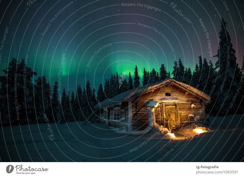 Nordlicht über dem traditionellen Holzhaus in Schweden Natur Himmel Schönes Wetter Wald Gefühle geduldig Farbfoto Außenaufnahme Menschenleer Textfreiraum links