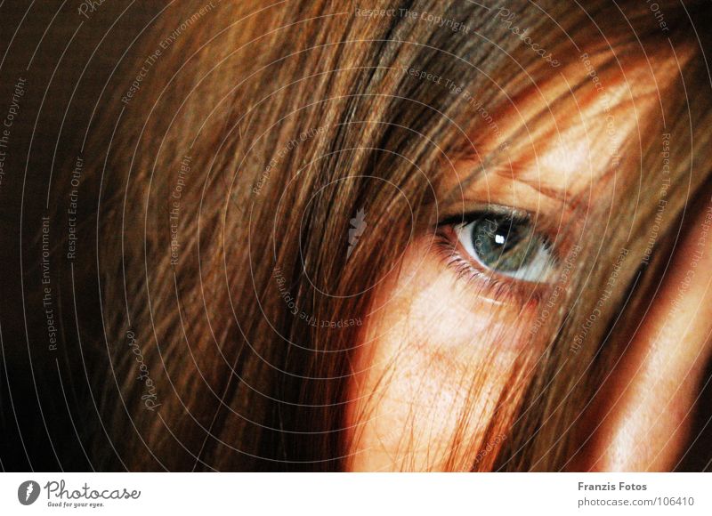 Eyes Porträt grün Frau Auge Gesicht schön Haare & Frisuren blau