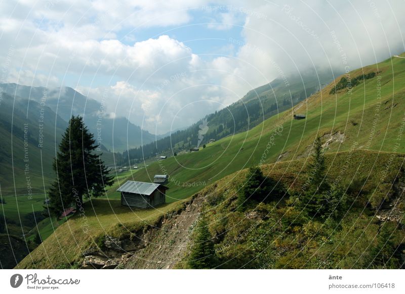 stehen geblieben Berghütte Tanne Kanton Graubünden Schweiz Heimat gefährlich Bergsteigen Luft Bergwiese Sommer Berghang Erosion Aussicht Cottage