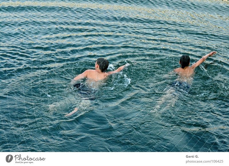 friends Erfrischung See Wasseroberfläche spritzen Wasserspritzer kalt Sport Schwimmsport Schwimmsportler Sommer Oberkörper nass auftauchen Meer gefährlich
