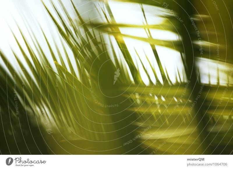 Sommerwind. Kunst ästhetisch Zufriedenheit Idylle friedlich grün Palme Palmenwedel Palmendach Sommerurlaub Urlaubsstimmung Wellness ruhig Sonne Karibik Farbfoto