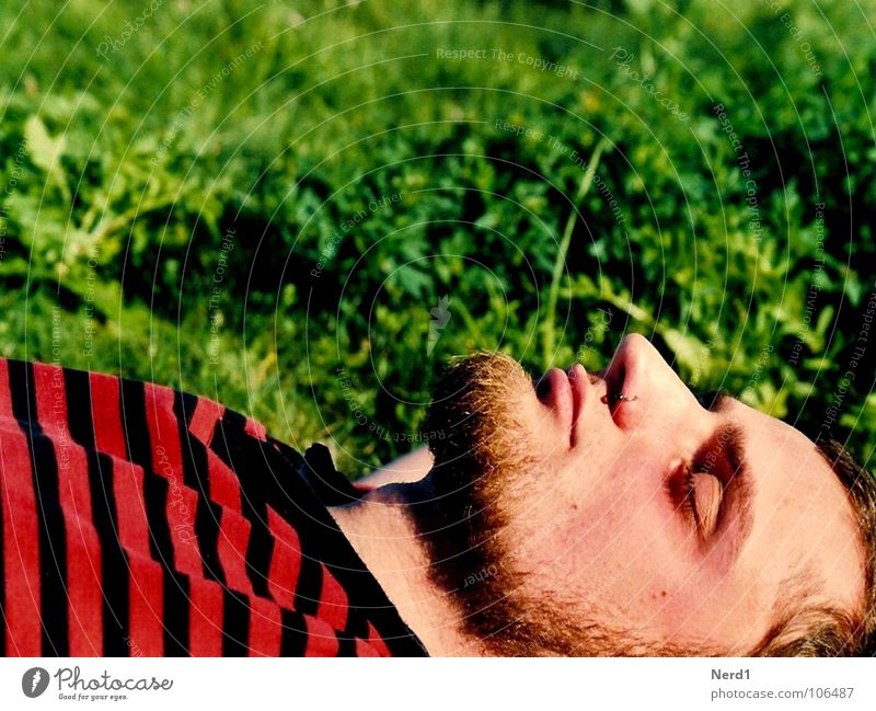 Kein Käfer Wiese grün Mann rot schlafen Streifen Bart Makroaufnahme Nahaufnahme liegen Nase Kopf Porträt Männergesicht Kinnbart Erholung genießen ruhig