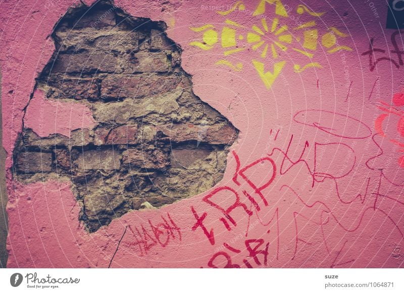 König der Löwen Kunst Kunstwerk Mauer Wand Fassade alt authentisch dreckig kaputt lustig rosa stagnierend Verfall Vergänglichkeit Hamburg Demontage verfallen
