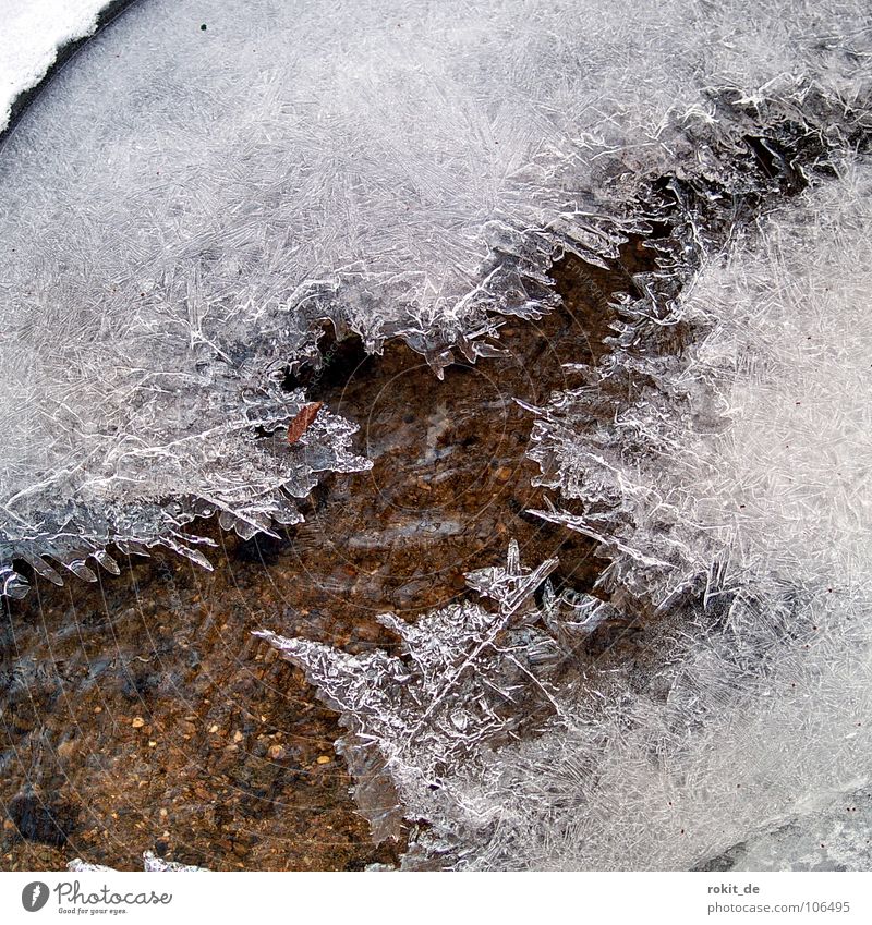 Eiskaltes Apfelmännchen Bach nass Winter gefroren Eiskristall fließen Eisfläche Wasser Kristallstrukturen apfelmännchen fraktal arschkalt
