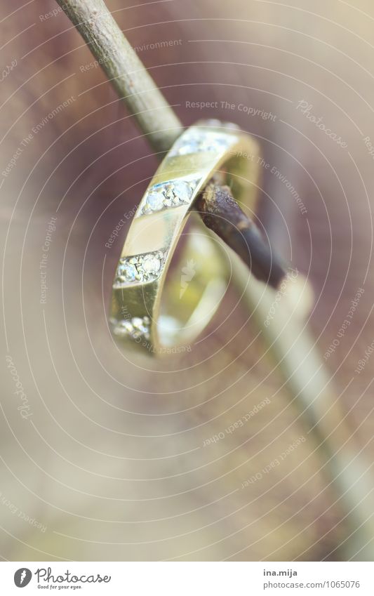 EHEmalig Accessoire Schmuck Ring Gold glänzend modern Liebe Reichtum Ehering Ehekrise Scheidung Liebesbekundung Verlobung Verliebtheit Diamant Diamantring