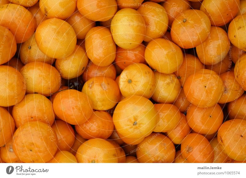 Mandarinen exotisch Frucht ästhetisch außergewöhnlich Duft fest frisch Gesundheit gut rund saftig schön mehrfarbig orange Farbfoto Außenaufnahme Menschenleer