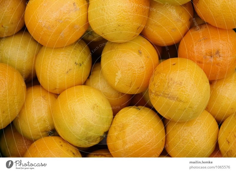 Orangen Frucht frisch Gesundheit groß rund saftig gelb Farbfoto mehrfarbig Außenaufnahme Nahaufnahme Detailaufnahme Makroaufnahme Menschenleer Morgen