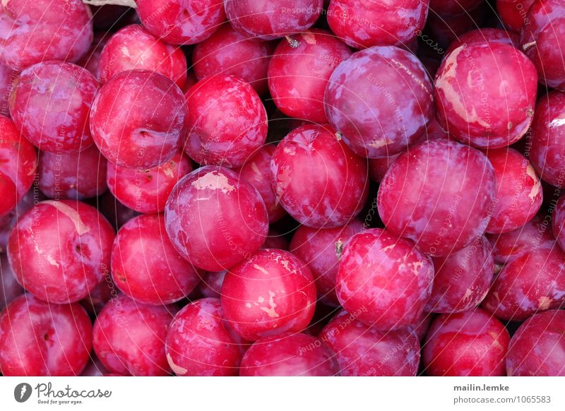 Pflaume Frucht frisch Gesundheit oben süß mehrfarbig violett rot Farbfoto Außenaufnahme Nahaufnahme Detailaufnahme Makroaufnahme Strukturen & Formen