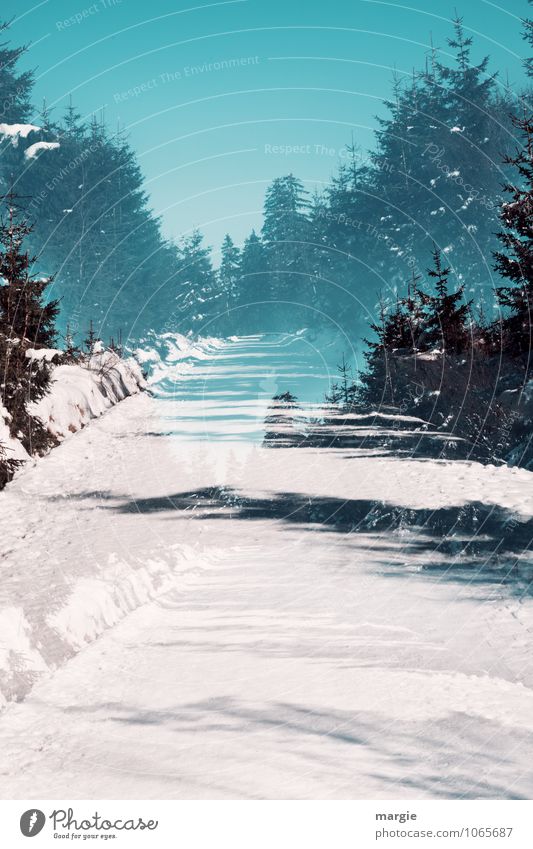 Imaginärer Winterweg Gesundheit Ferien & Urlaub & Reisen Winterurlaub Umwelt Natur Landschaft Wasser Himmel Sonnenlicht Klima Schönes Wetter Eis Frost Schnee