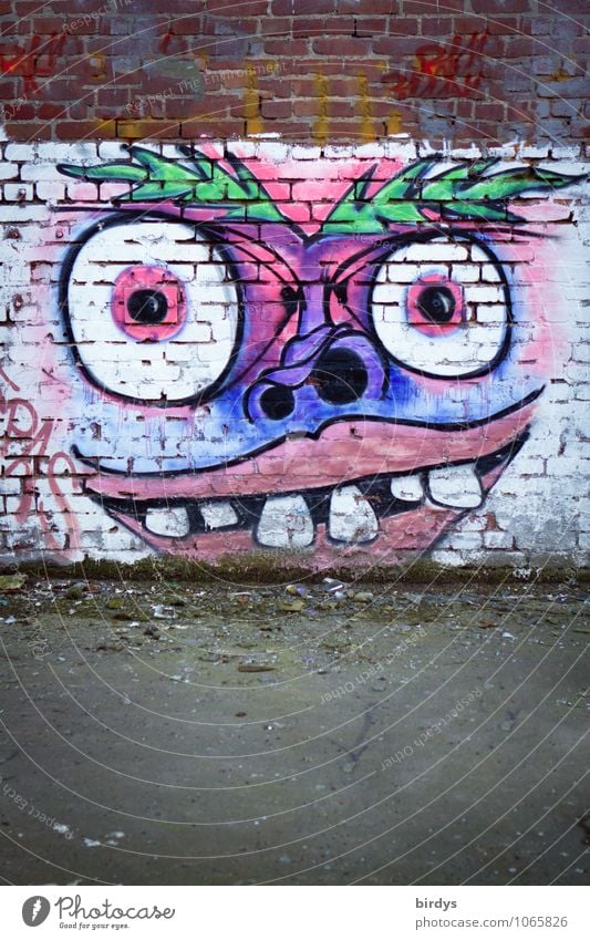 schräger Vogel Kunst Jugendkultur Graffiti Mauer Wand Backsteinwand außergewöhnlich exotisch gruselig lustig verrückt bizarr Farbe Kultur rebellieren Stadt Auge