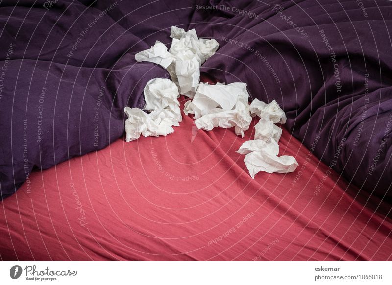 grippaler Infekt Krankheit Häusliches Leben Wohnung Bett Taschentuch authentisch violett rot weiß Erkältung zuhause verschnupft Farbfoto Innenaufnahme