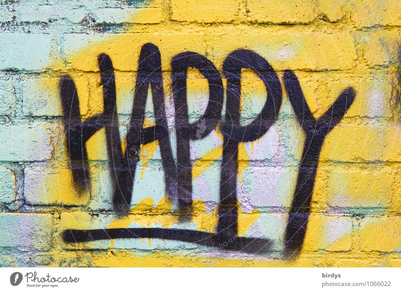 Happy , Schrift als Grafitti auf einer Backsteinwand happy Graffiti grafitti Jugendkultur glücklich Wort Subkultur formatfüllend Schriftzeichen authentisch