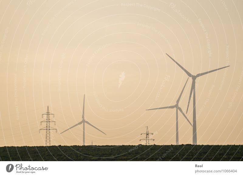 In der Dämmerung Landschaft Wiese Windrad Windkraftanlage Erneuerbare Energie umweltfreundlich Umweltschutz Elektrizität Strommast orange Zukunft