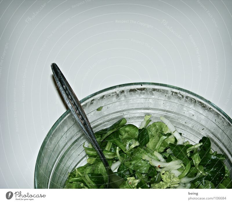 Salat Blattsalat Beilage Dressing Diät Vorspeise Dessert Einladung Bestandsaufnahme Schneider Vegetarische Ernährung Gastronomie Gesundheit grüner Salat