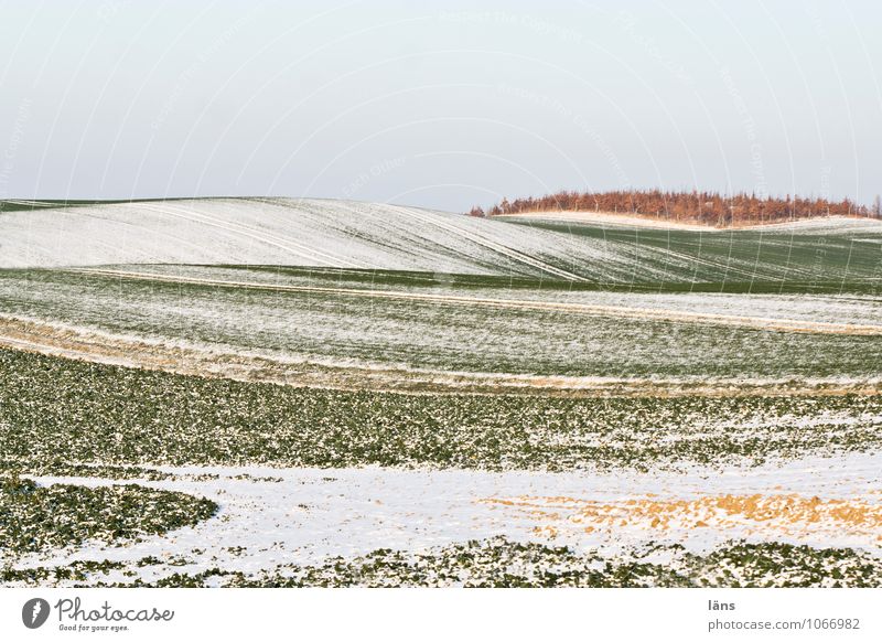 Schnee von gestern Umwelt Natur Landschaft Erde Himmel Wolken Winter Eis Frost Feld Hügel einzigartig Klima stagnierend Wandel & Veränderung gestreift Linie