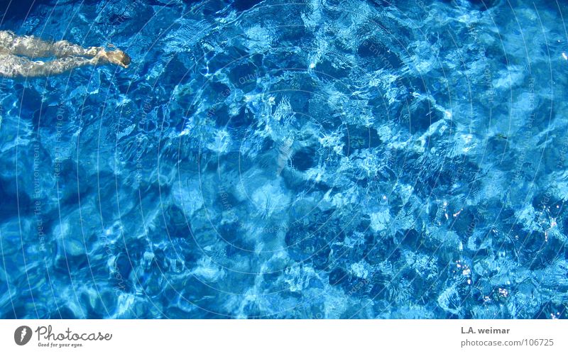 azurblau.blubb Schwimmbad Im Wasser treiben Erholung Sommer Schwimmen & Baden Wasseroberfläche Textfreiraum Klarheit