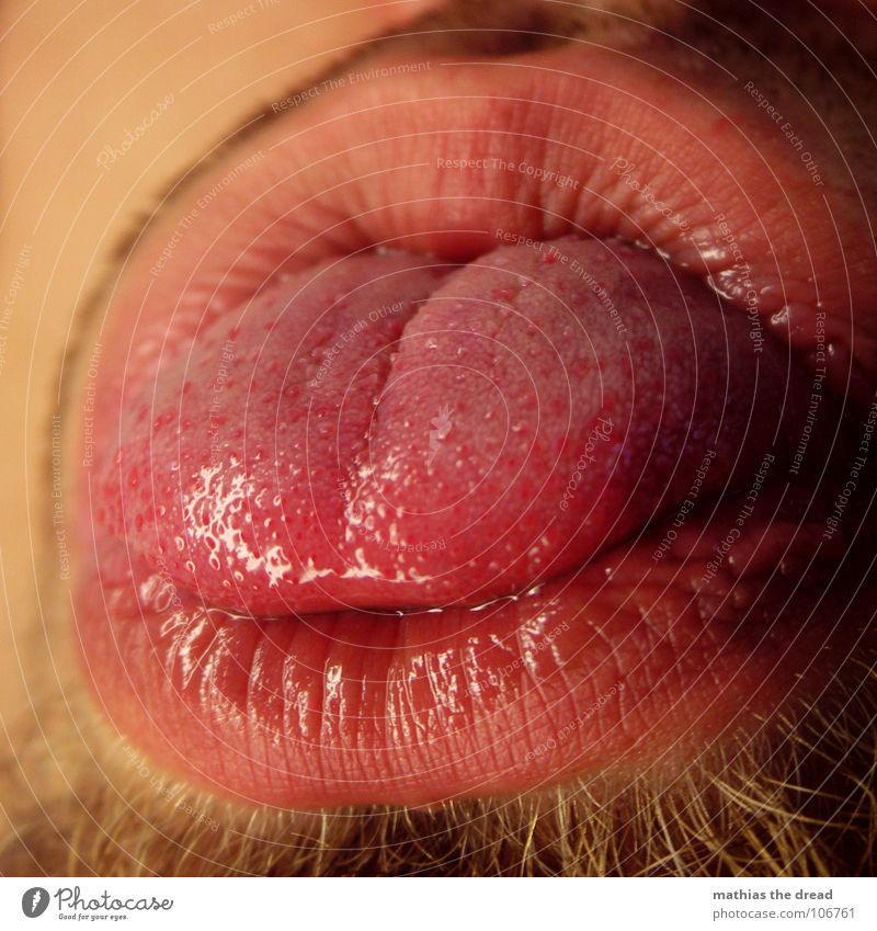 ZUNGE Ernährung Organ Sinnesorgane Geschmackssinn rot Lippen Physik feucht Bart Bartansatz rund Makroaufnahme Nahaufnahme Zunge Punkt Falte Furche Wärme