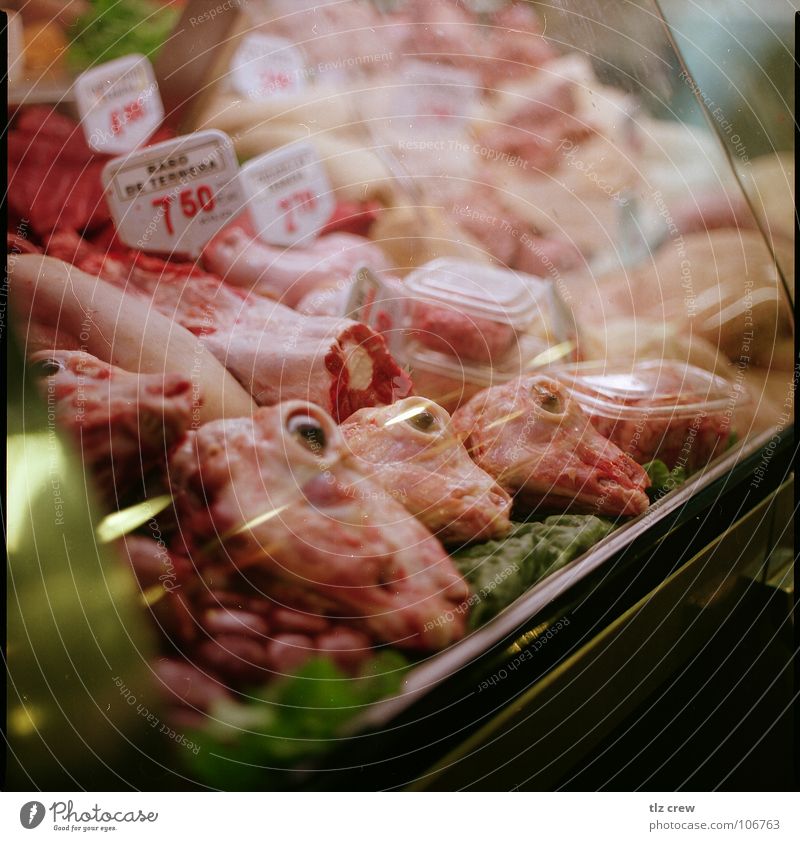 fleisch Totes Tier Ernährung Fleisch Spanien Barcelona Markt Lebensmittel