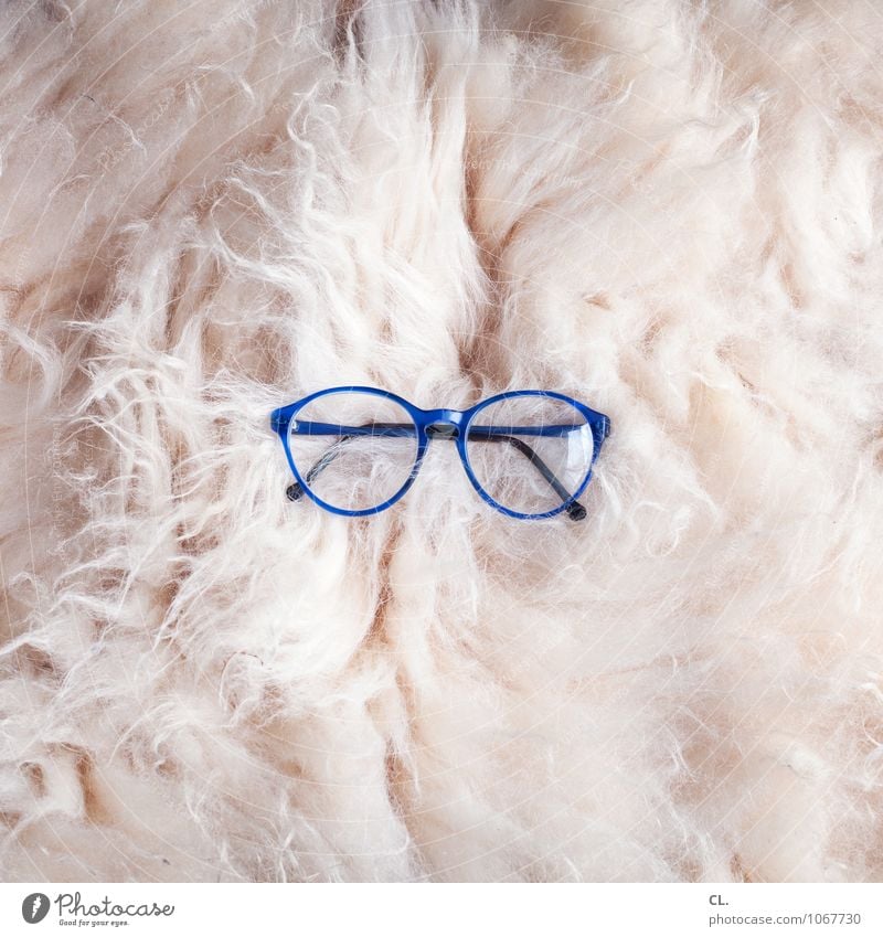 blaue brille Brille Plüsch kuschlig weich weiß skurril Farbfoto Innenaufnahme Menschenleer Tag extravagant