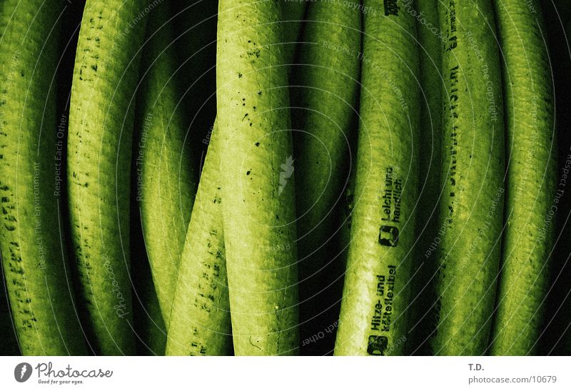 Schlauchsalat grün nass rund Fototechnik Garten gießen Detailaufnahme beweglich