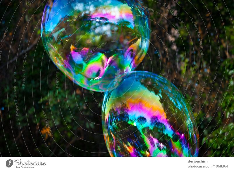 2  Große bunte schillernde Seifenblasen  -,Ufos im Landeanflug - Freude harmonisch Sommer Wassertropfen Schönes Wetter Park Queensland Australien Menschenleer