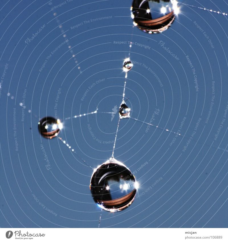 Toxic Wassertropfen Spinngewebe Spinnennetz netzartig Vernetzung Netzwerk Verbindung Knotenpunkt Linse Wasserspiegelung Atom Proton molekular Makroaufnahme