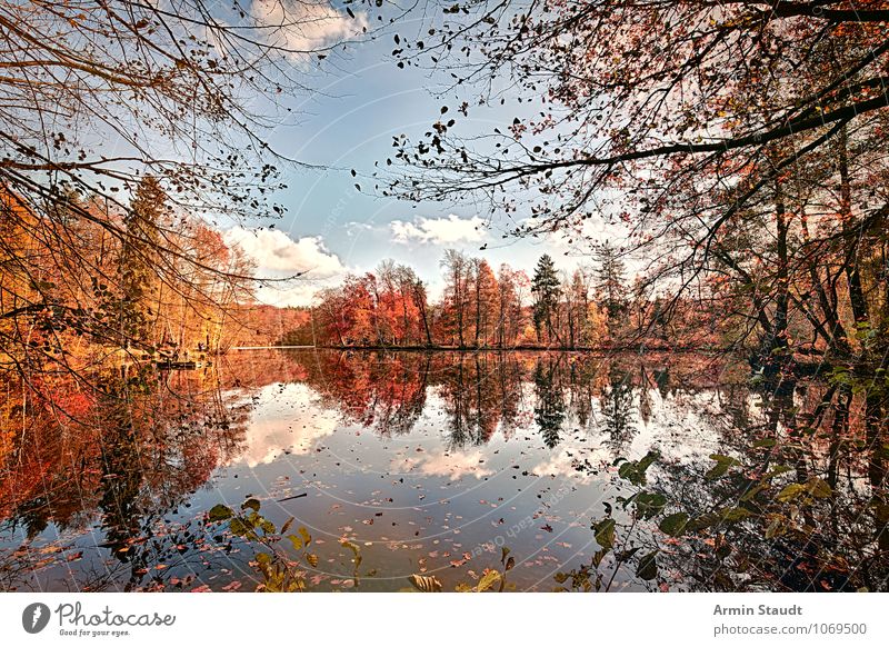 Herbstwald mit spiegelglattem See Leben Erholung Natur Landschaft Himmel Schönes Wetter Park Wald Seeufer fantastisch natürlich schön Lebensfreude Frieden